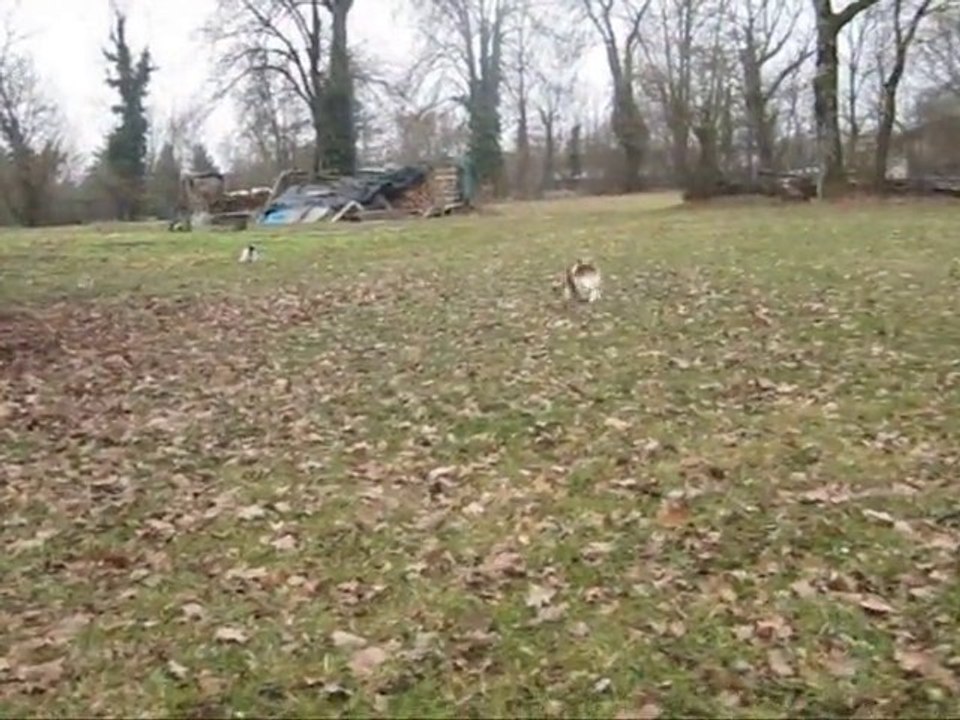 ballade du 31/01/11