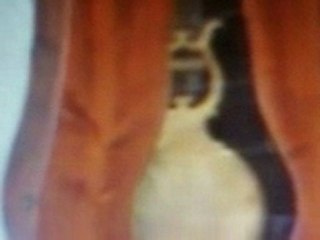 bou thadi sfax pendule tres ancien        . (2)