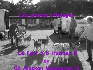 Kart 6 mala et 8 huskys