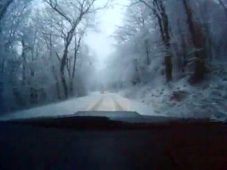 Sortie du 29 Janvier 2011 n°3