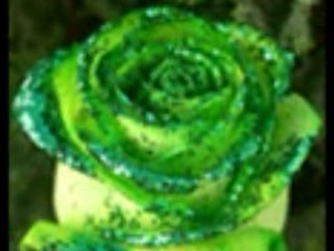 Dj Kral Ft Qarizma - Ayrilik Korkusu