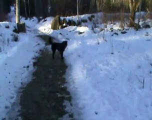 Januari 2011, playing in the snow