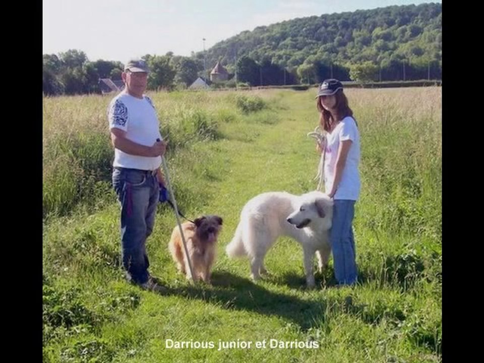 Concours NF Janvier 2011