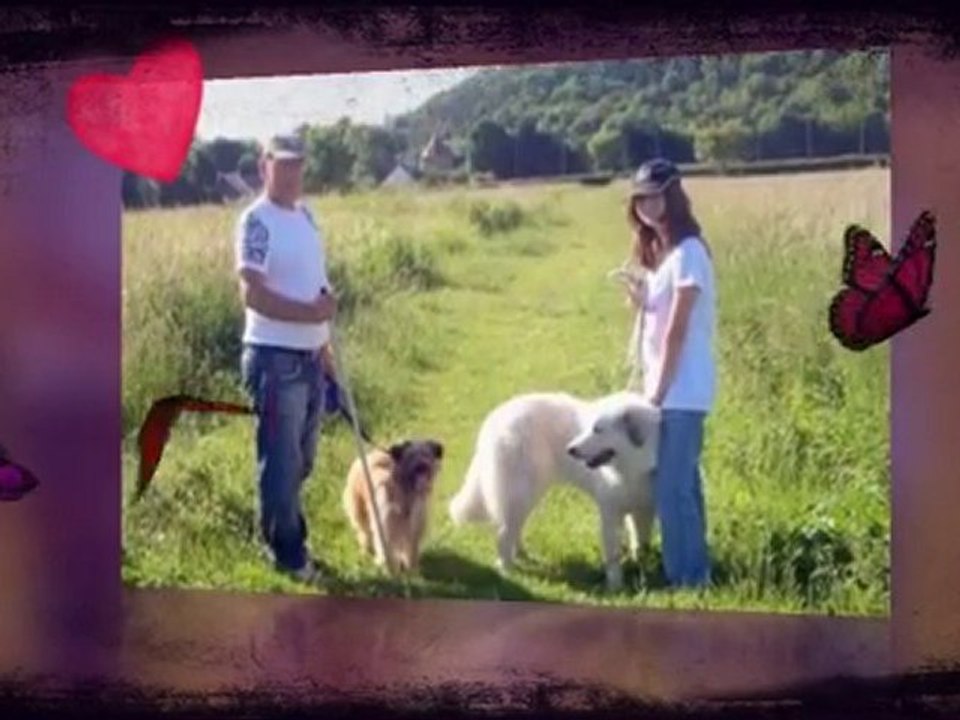 Concours janvier 2011 NF