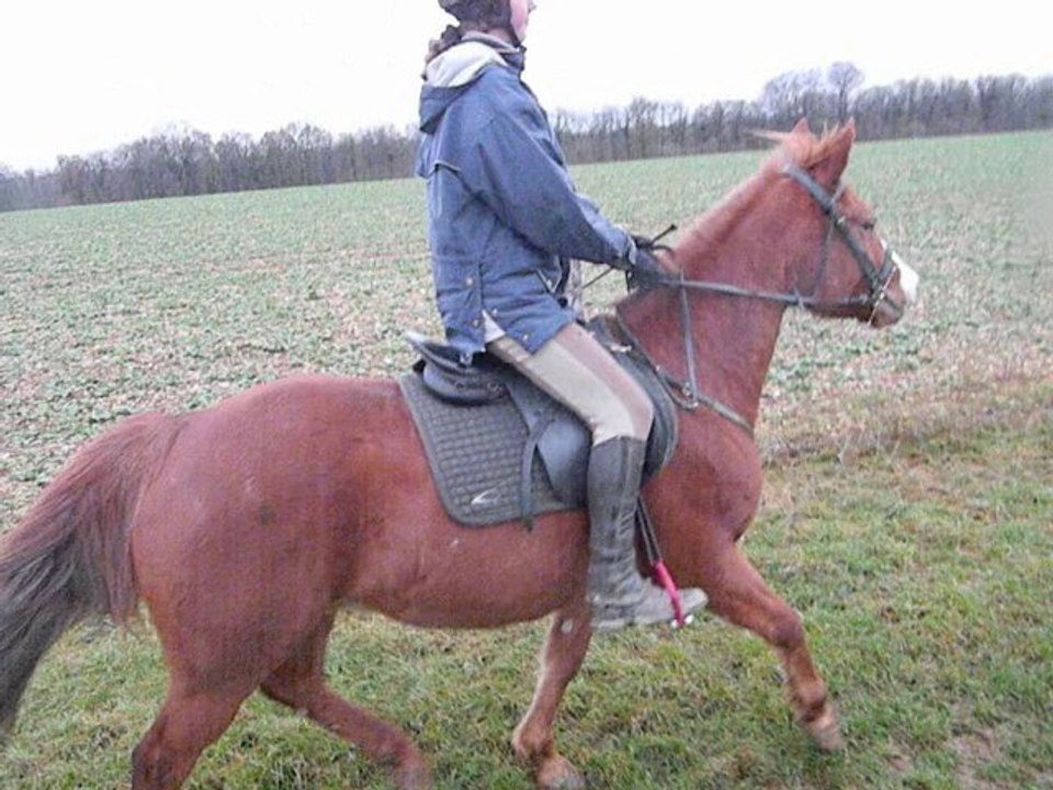 balade avec Camille