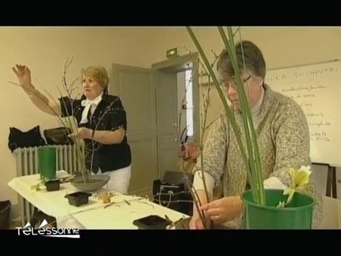 Fleur et Japon de Gif-sur-Yvette