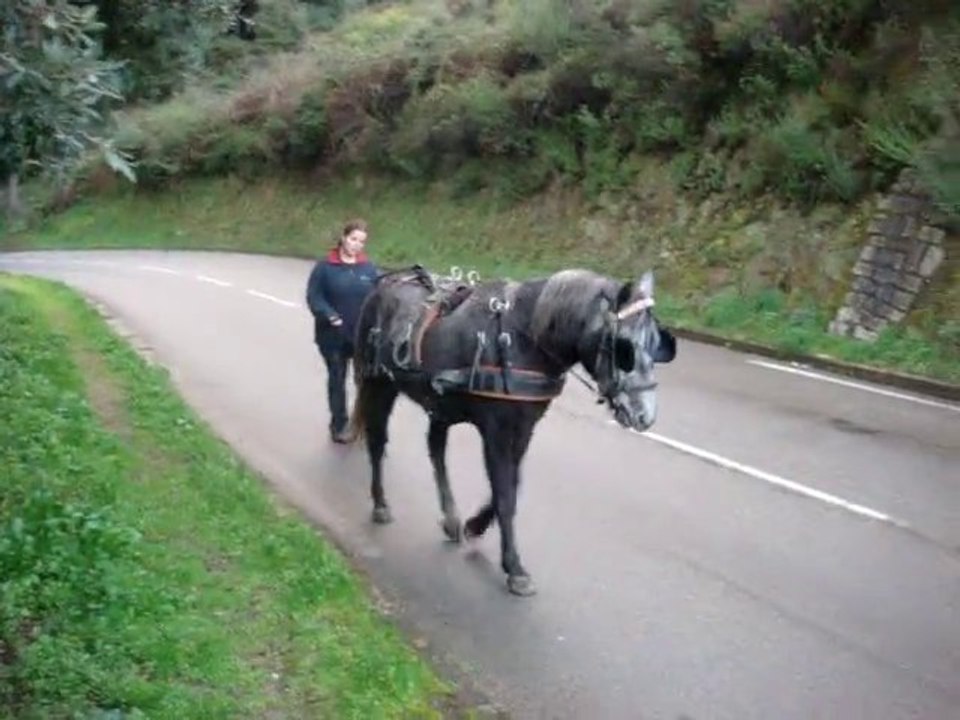 Travail au LR, les arrets