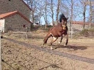 Top Model Auvergne janvier 2011