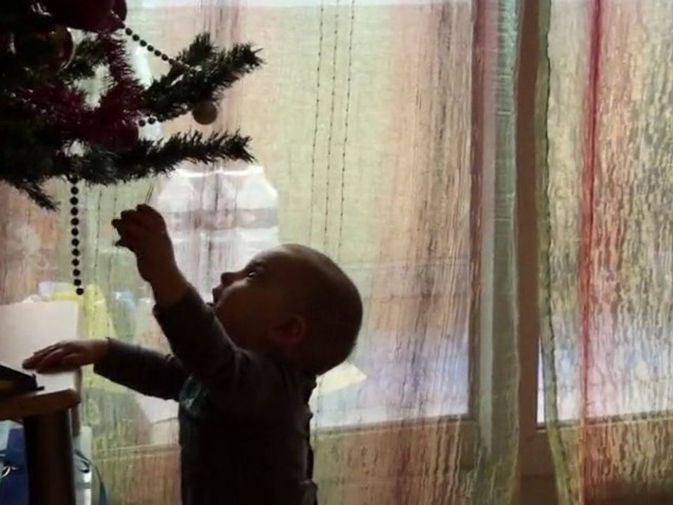 Lucien découvre le sapin de Noël