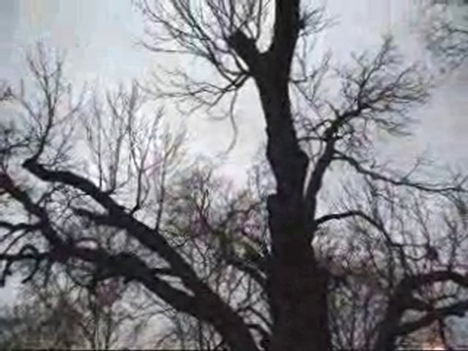 ilhan irem -işte hayat