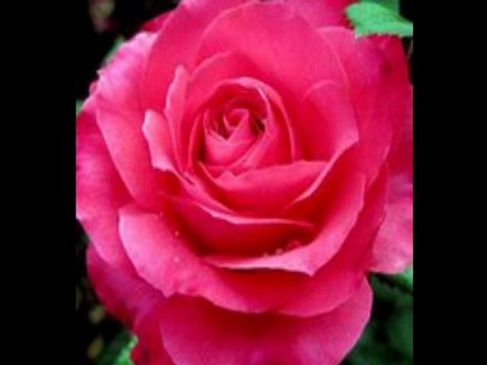 BÜLENT ERSOY-KANUN TAKSÎMİ & BEKLERİM HER GÜN BU SAHİLLERDE