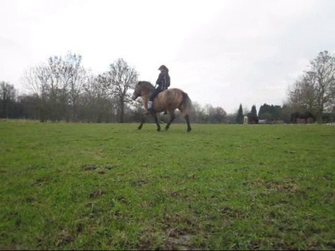 Susu au pas espagnol monté (1)