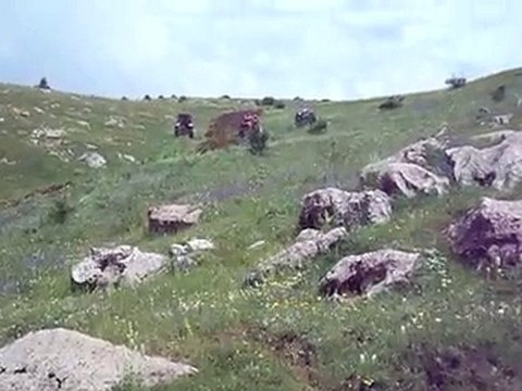 GÜMÜŞHANE KELKİT ÇAMBAŞI KÖYÜ BUYUK DUZ TRAKTÖRLER_01