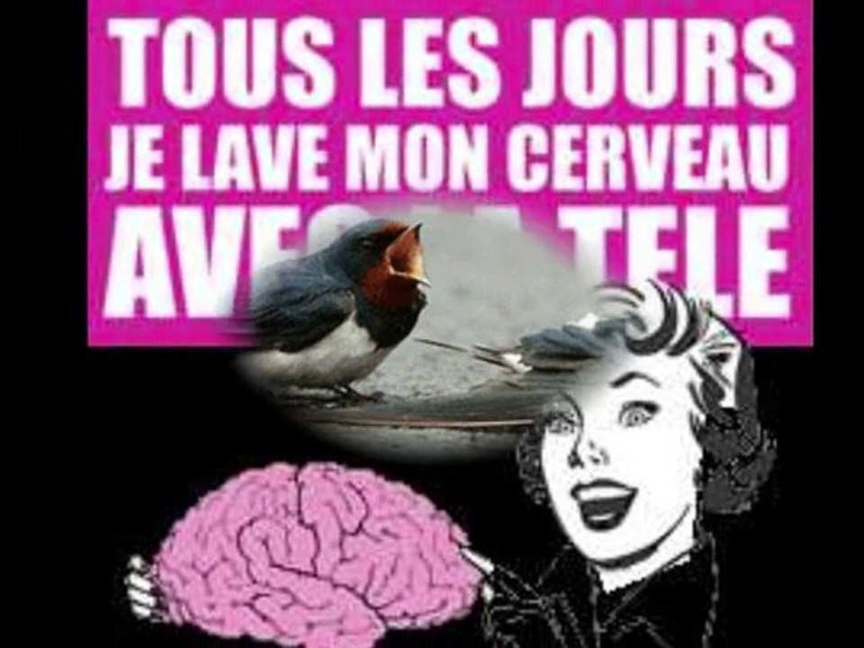 Hécatombe d'Oiseaux et Poissons dans le Monde ! ..???..