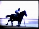 Horse Betting | Horse Racing Betting