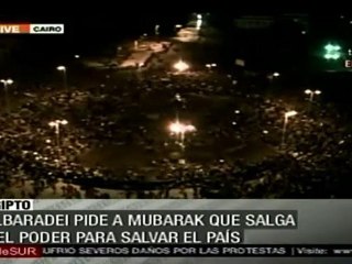 El Baradei, designado vocero de la oposición, pide renuncia de Mubarak