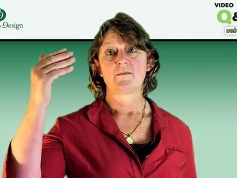 Garden design services Wellington Cost landscaping Newtown