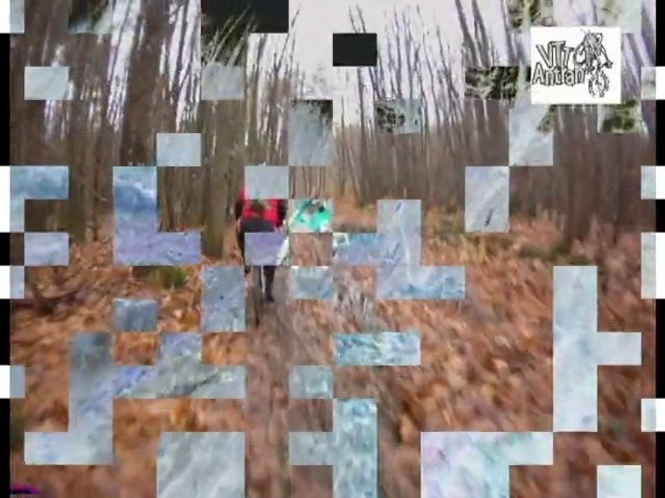 ANTRAN-VTT La gadoue Langeais 2010