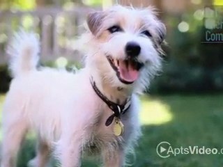 55 Hundred Apartments in Arlington, VA - ForRent.com