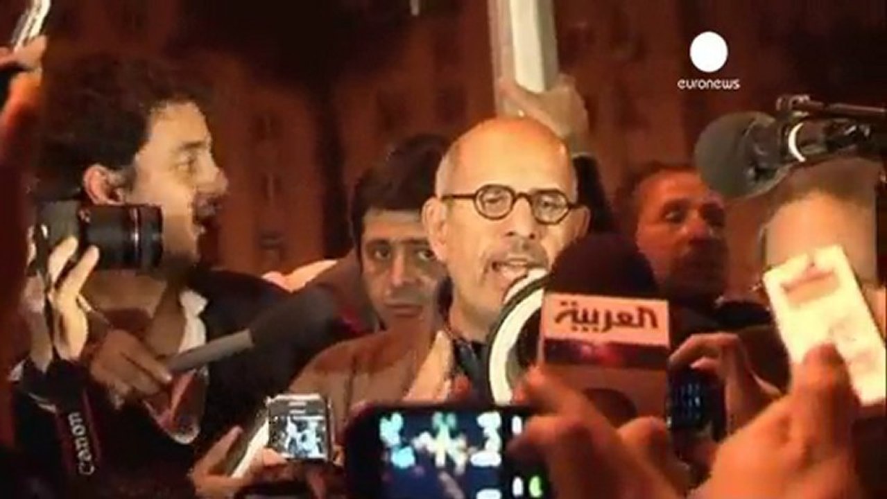 ElBaradei calls for a national unity government