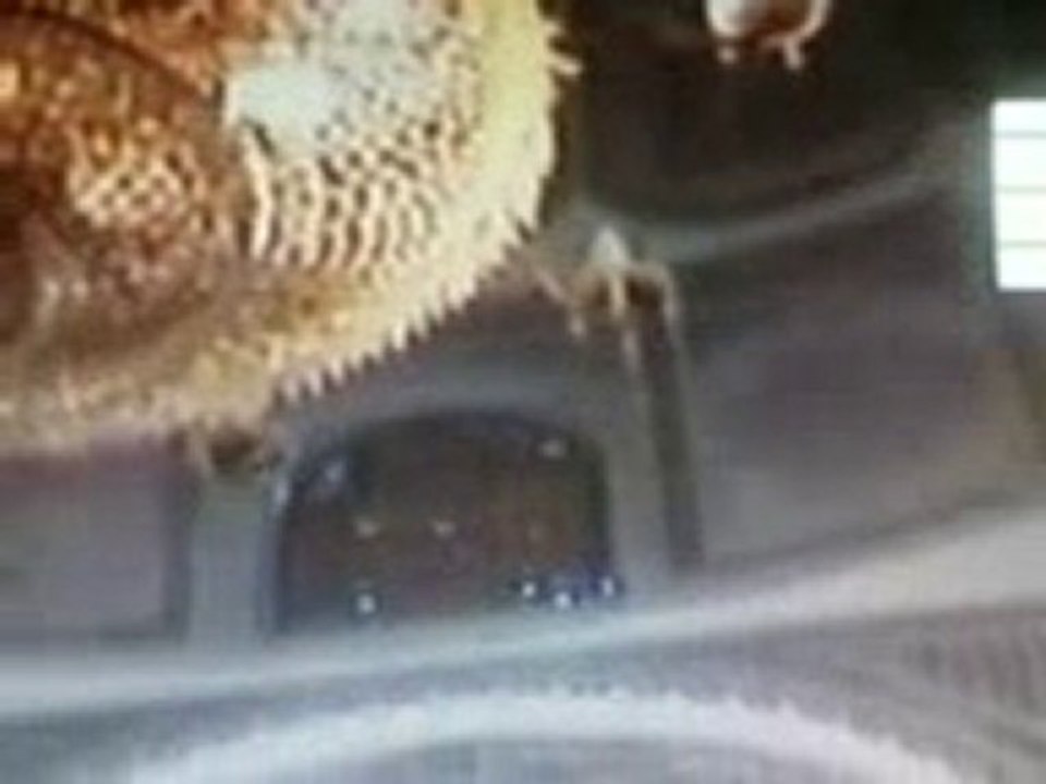 kairouan tunisie mausolée de sidi sahbi (1)