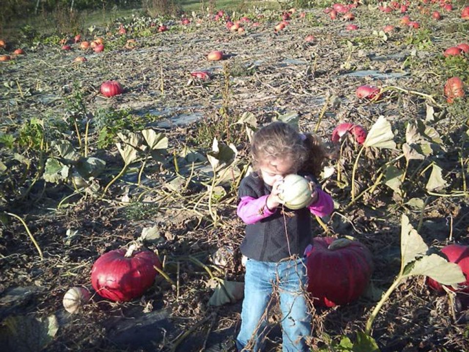 pour mes petites filles