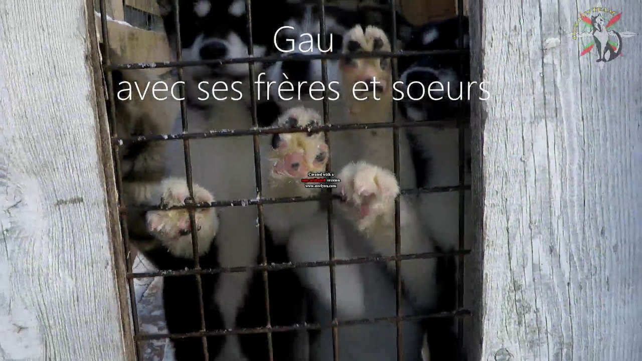 Allons chercher Gau !!! Voyage dans le Vercors...