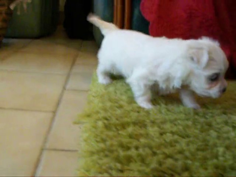 vidéos bébés chéhérazade 003