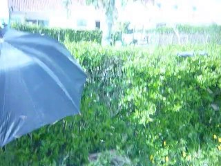 Essaim du 14 mai 2010