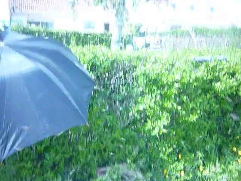 Essaim du 14 mai 2010