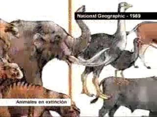 La Pava Aliblanca Parte 1