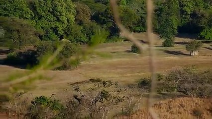 Terrain 2 terrasses PG 1/2