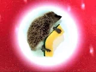 Cerrone: Give Me Love, pub SPONTEX