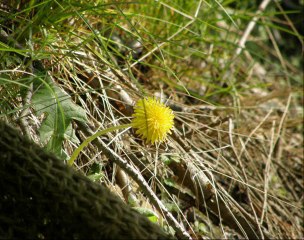 158 emisja Poniedzialek 31.01.2011 czesc 4