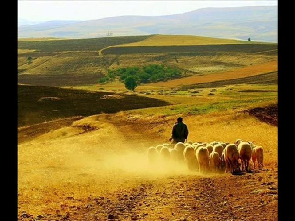 Saclarini Taramissin, Sari Renge Boyamissin