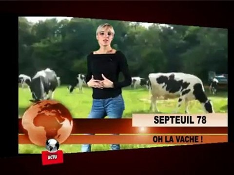 Actualités du 27 avril 2010