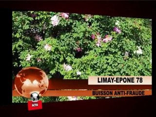 Actualités du 30 avril 2010