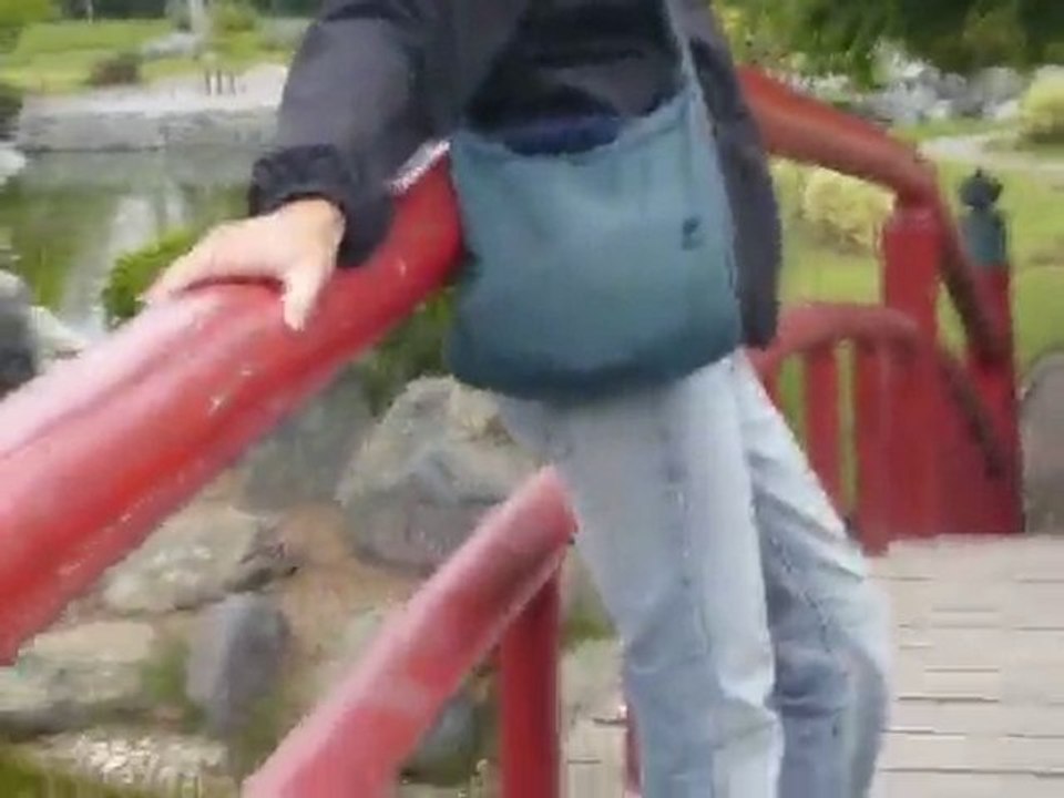 [Chili] La Serena - Jardin japonais