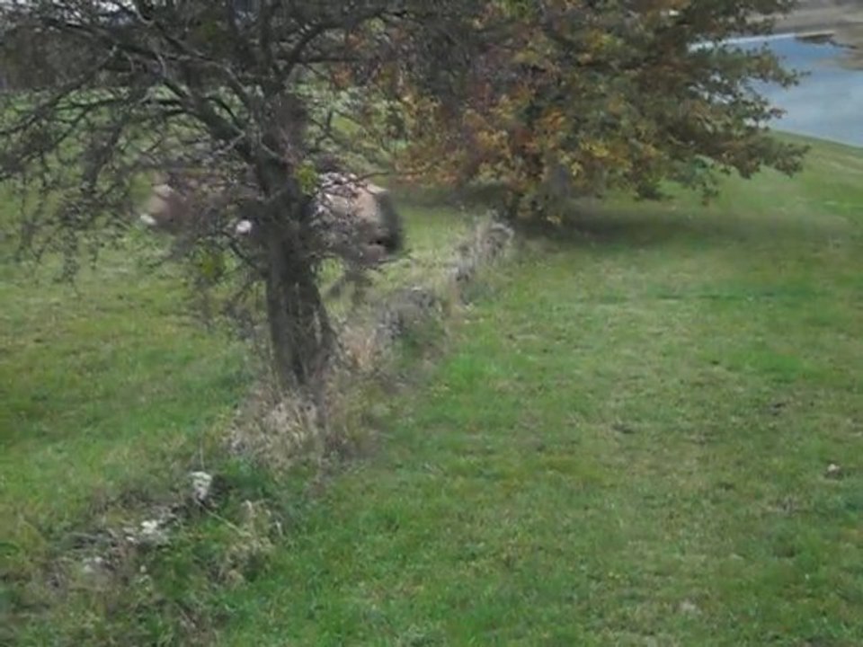 ptit saut lac-nov2010