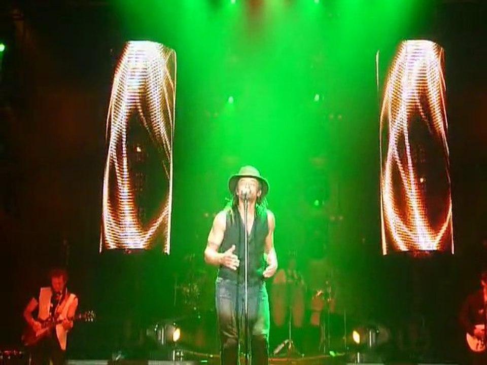 Concert Yannick Noah - LYON 2011 - Simon Papa Tara