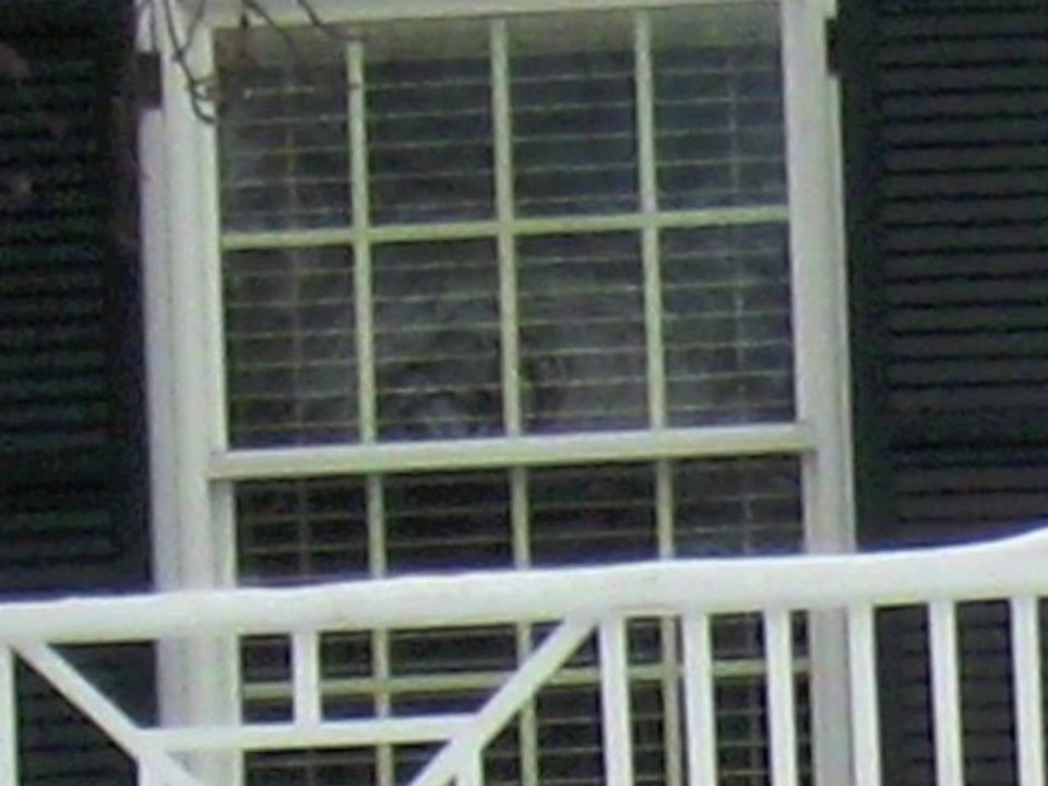 amityville