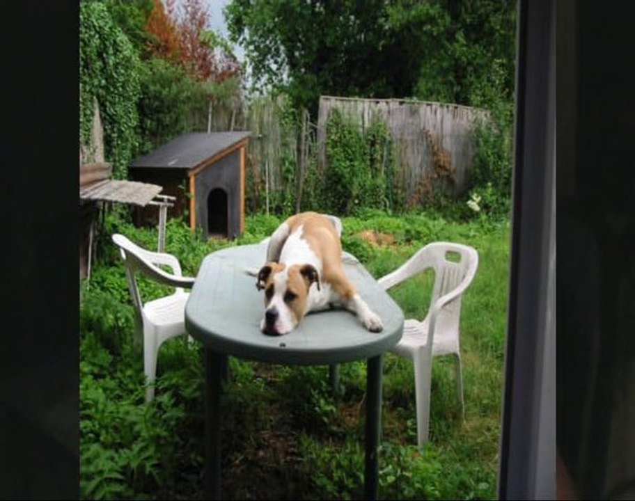 2011 FIONER - R.I.P. Oxmo (prod Tar-t  "son on the beat")