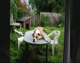 2011 FIONER - R.I.P. Oxmo (prod Tar-t  "son on the beat")