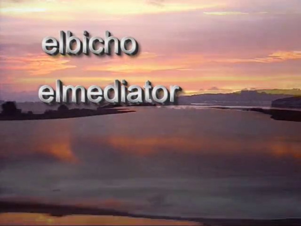 elbicho * ♪ letras ♫ * ♪ ropa tendía ♫ Perpignan * 28.11.09