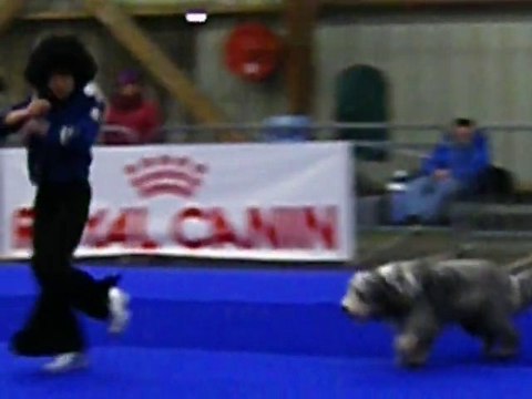 Eden danse le disco (Fontenay le comte, le 29/01/2010)