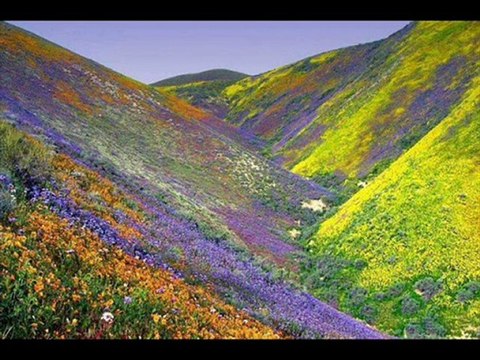 ARDAHAN BİNBAŞAR KÖYÜ HOÇVAN @ MEHMET ALİ ARSLAN Yayınları