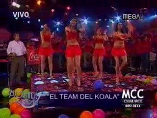 Team Koala De Morande con compañia