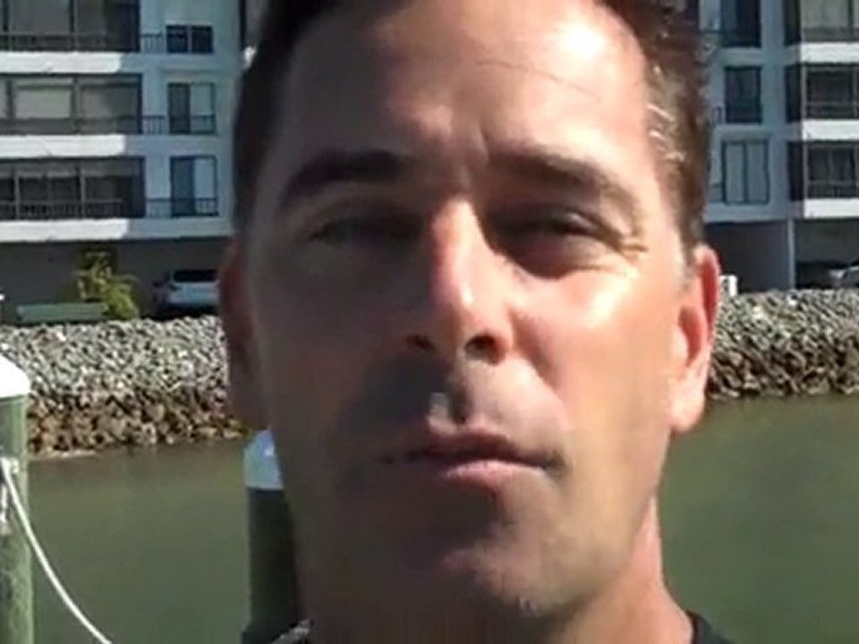 Watching Dolphins Relaxing Vacation Million Mail Program