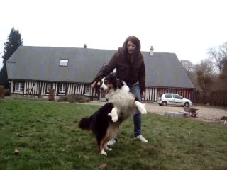 1.02.11  Début chorée Grease