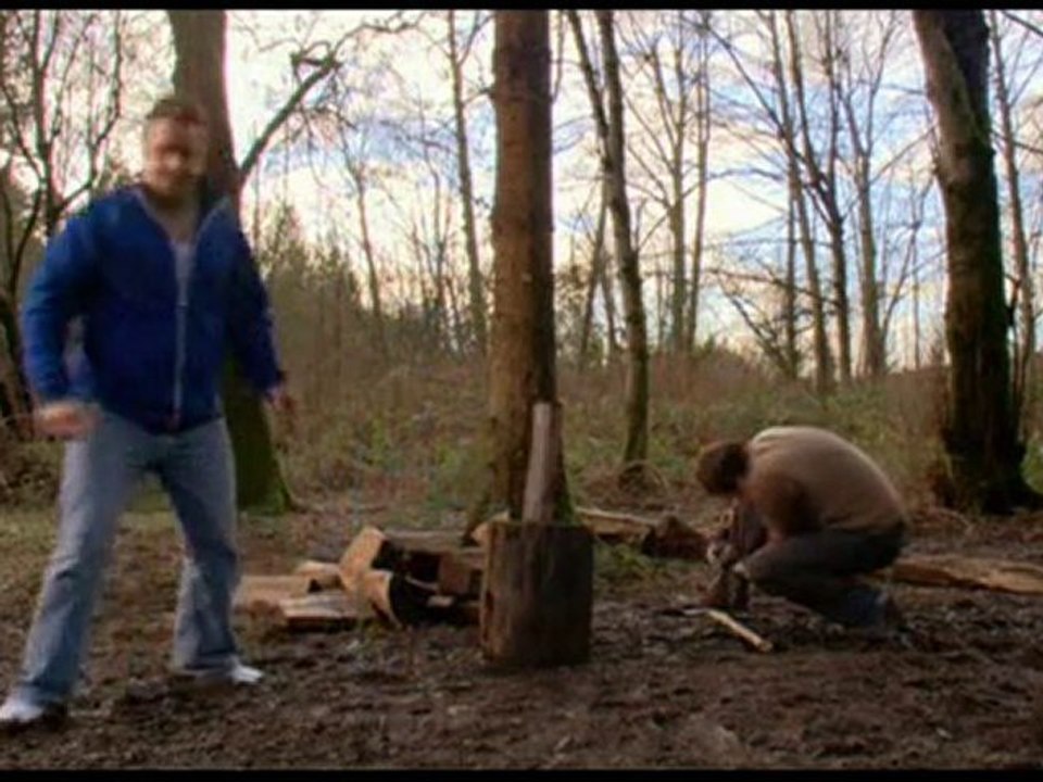 The best of Dog´s breakfast